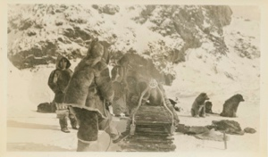 Image of Sledge with caribou horns for upstanders